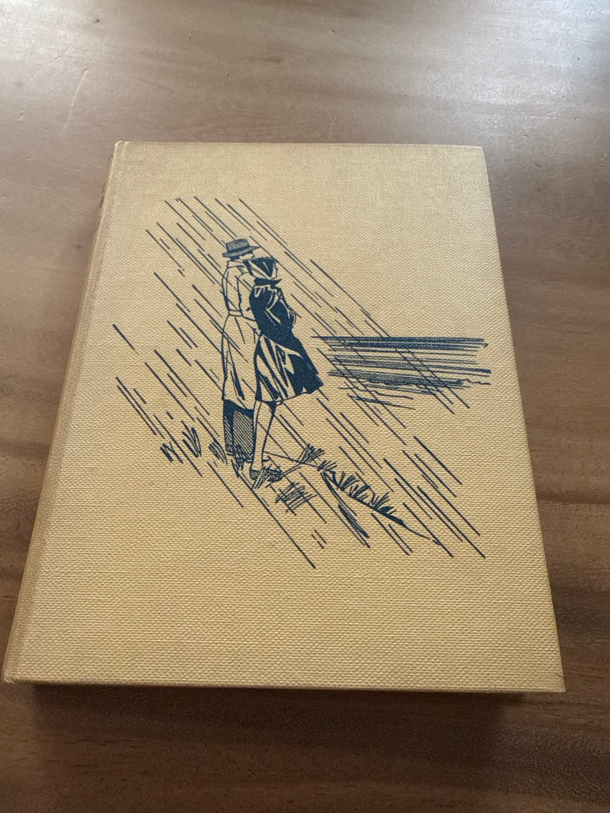 Nelleke's Opvoeding - Fenna Feenstra (Vijfde Druk), Boeken, Romans, Ophalen of Verzenden, Gelezen, Nederland