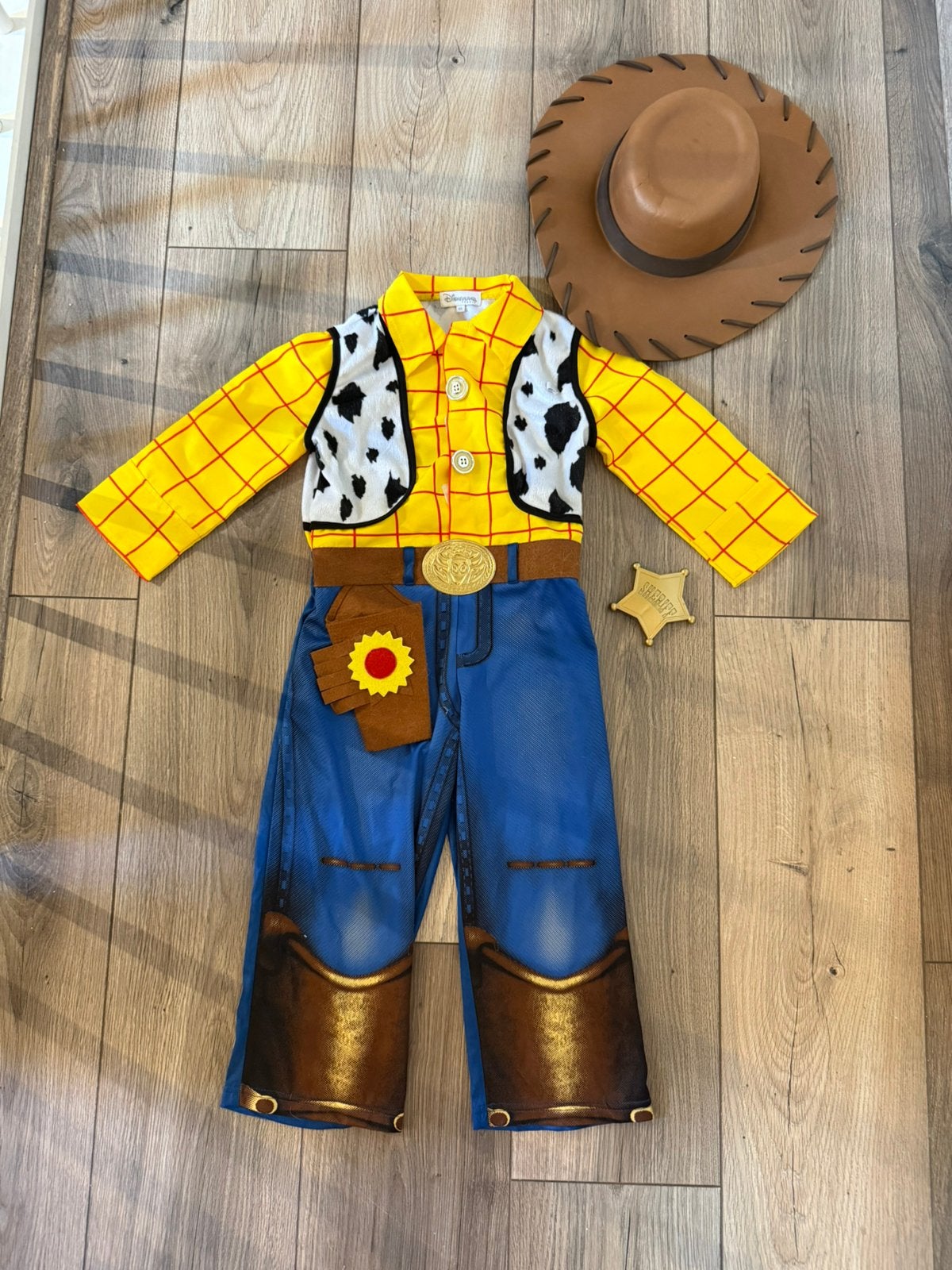 Toy Story Kostuum - Woody, Ophalen, Zo goed als nieuw, 104 of kleiner, Jongen of Meisje