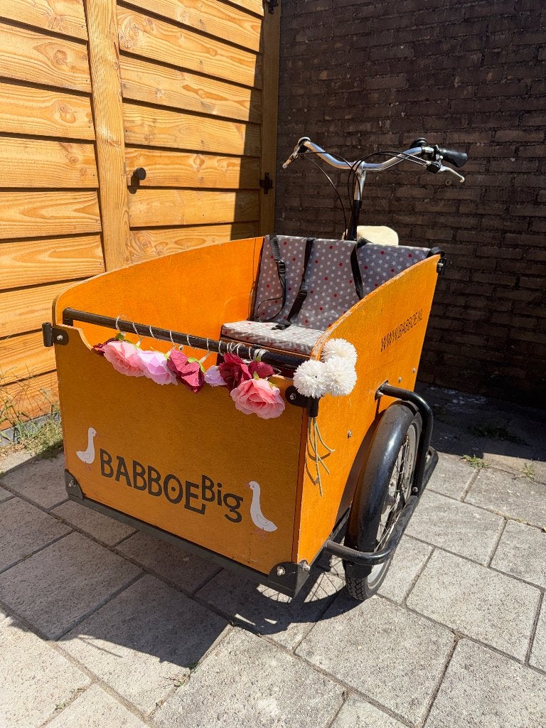 Babboe bakfiets niet elektrisch, Fietsen en Brommers, Ophalen, Gebruikt, 4 kinderen of meer, Overige merken