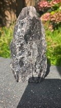zwarte mica, Ophalen of Verzenden