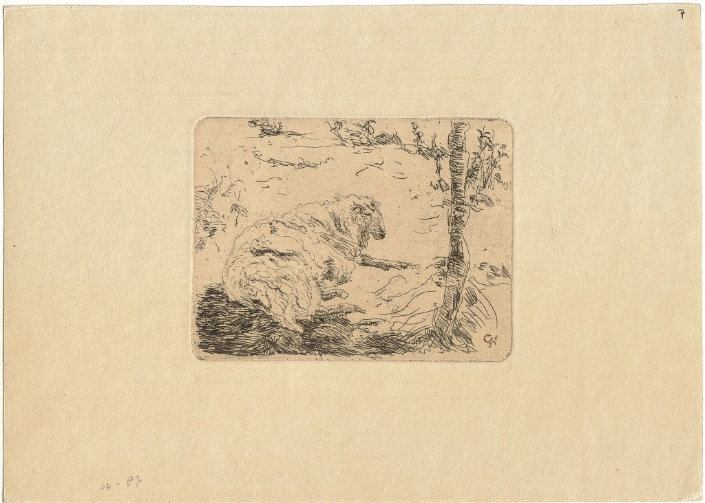 Gerrit Haverkamp ets en droge naald "Rustend Schaap", Ophalen, Overige technieken, Origineel, Flora en Fauna