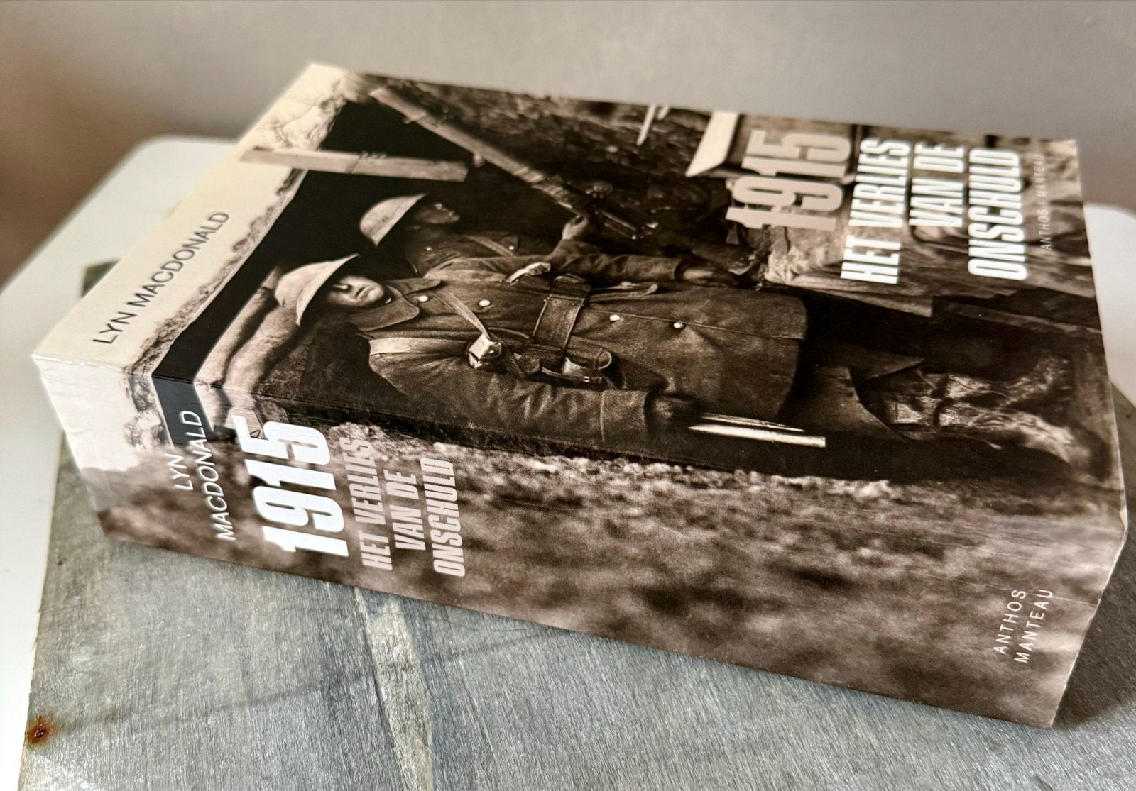 1915: Het verlies van de onschuld - WOI dagboeken, Boeken, Verzenden, Voor 1940, Gelezen, Landmacht