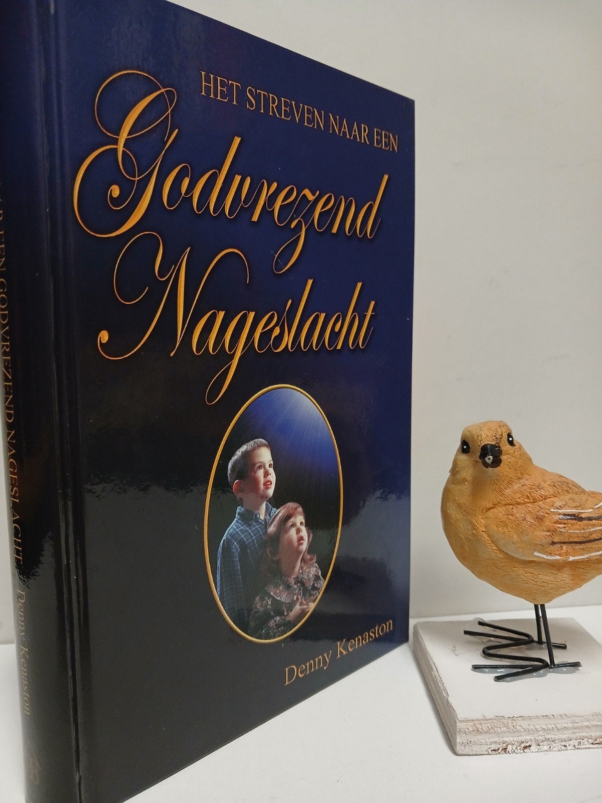 Kenaston, Denny; Godvrezend nageslacht, Boeken, Ophalen of Verzenden, Gelezen, Christendom | Protestants