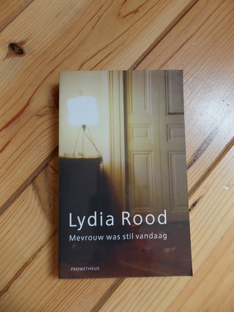 Lydia rood - mevrouw was stil vandaag - boek, Ophalen of Verzenden, Gelezen