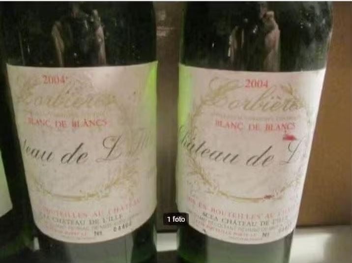 2 prima Flessen Chateau de L Ille - Blanc de Blanc - 2004, Frankrijk, Ophalen of Verzenden, Vol, Witte wijn