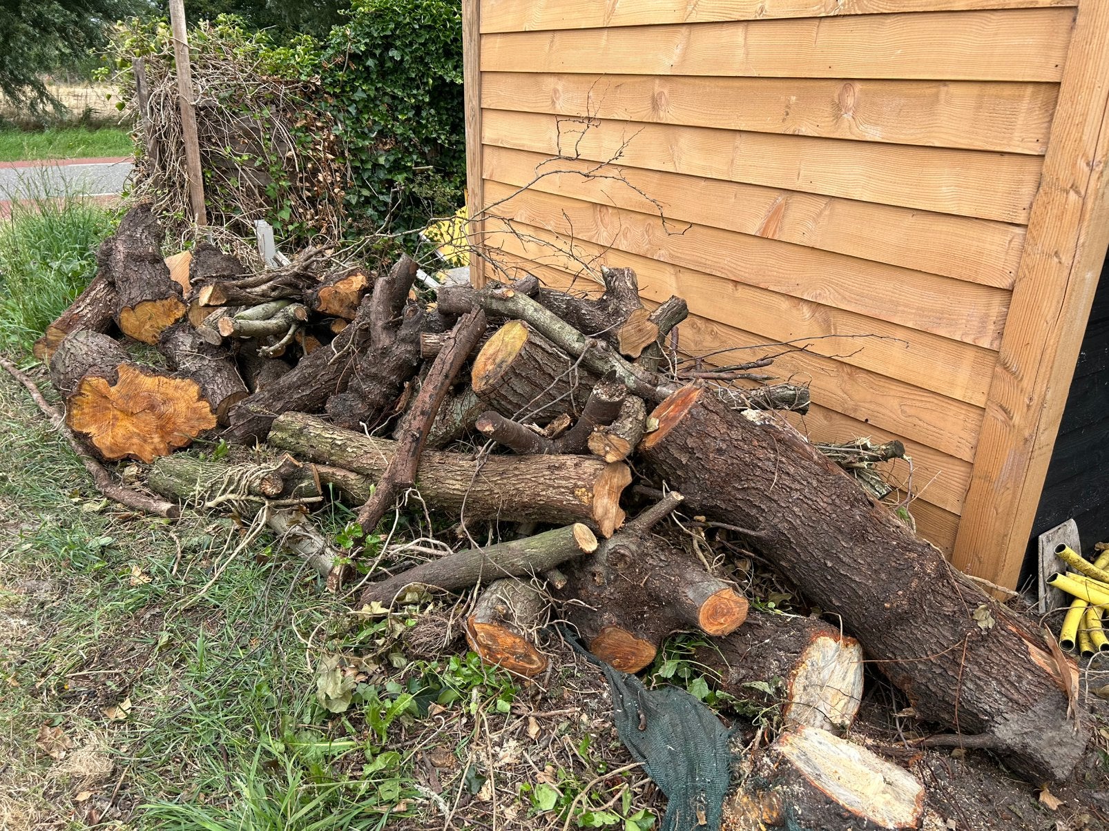 Gratis brandhout 2m3, Minder dan 3 m³, Ophalen