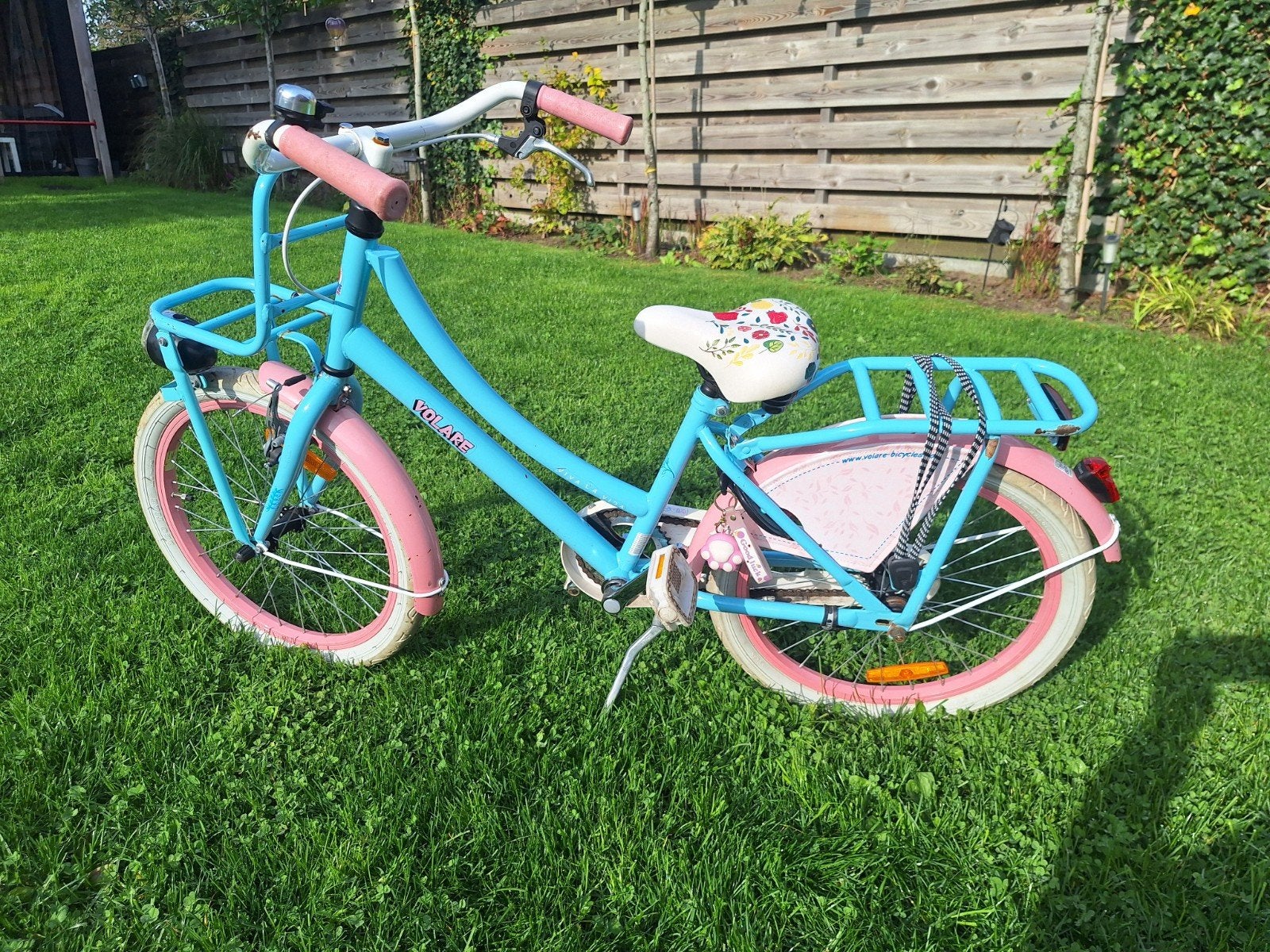 Kinderfiets 20 inch - Roze/Blauw, Fietsen en Brommers, Ophalen, Terugtraprem, Gebruikt, Handrem