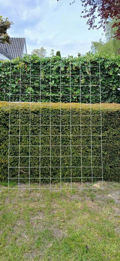 Hedera schermen Trellis Gaaspaneel 5 stuks, Ophalen