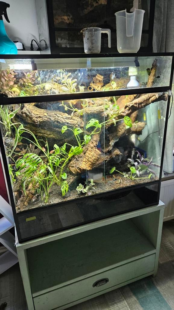 Groot Bioactief Paludarium (80x80x40) – Arcadia..., Ophalen, Zo goed als nieuw, Terrarium of Paludarium