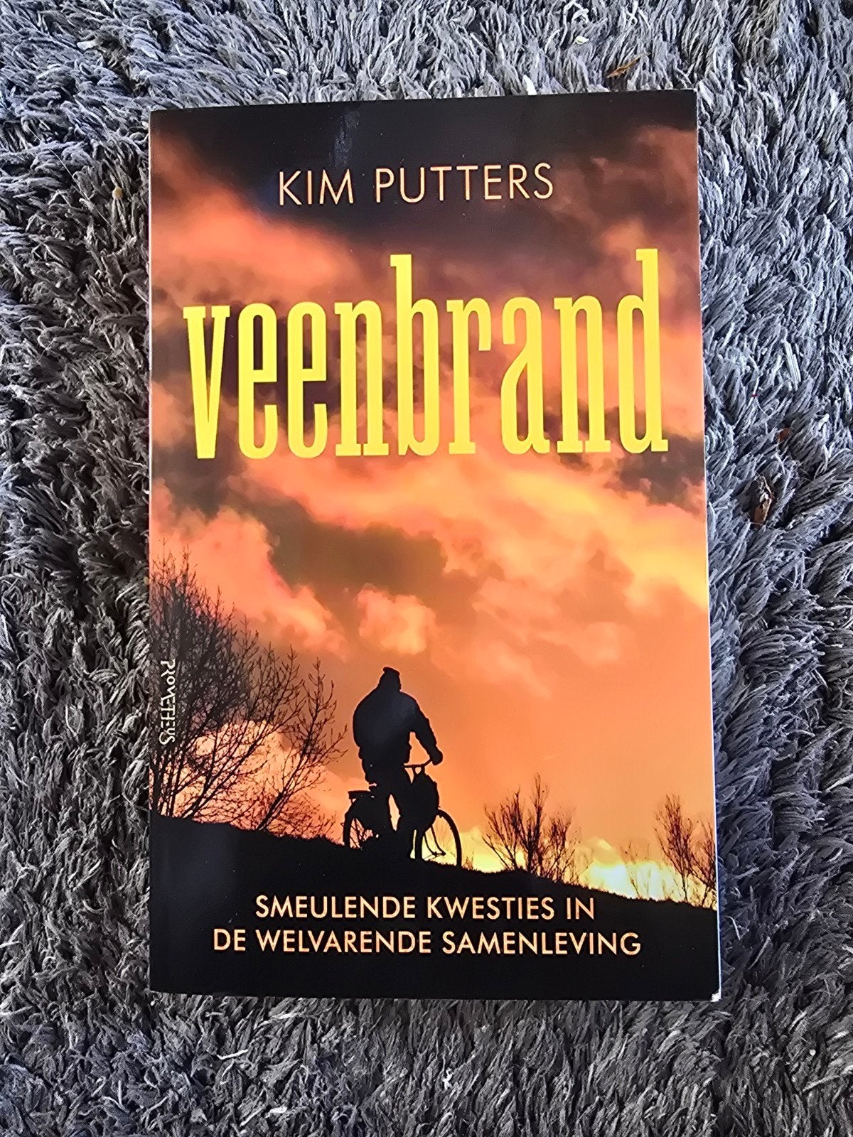 Veenbrand - Kim Putters (Boek), Boeken, Ophalen of Verzenden, Gelezen, Kim Putters, Nederland
