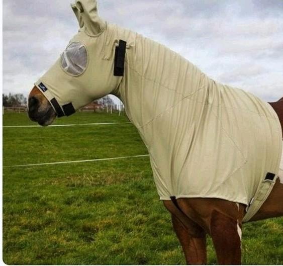 Snuggy eczeem dekens in maat 5.6 en maat 6.3, Dieren en Toebehoren, Paarden en Pony's | Dekens en Dekjes, Overige merken, Ophalen of Verzenden
