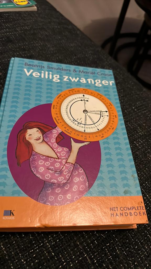 Veilig zwanger, Ophalen of Verzenden, Zo goed als nieuw, Zwangerschap en Bevalling
