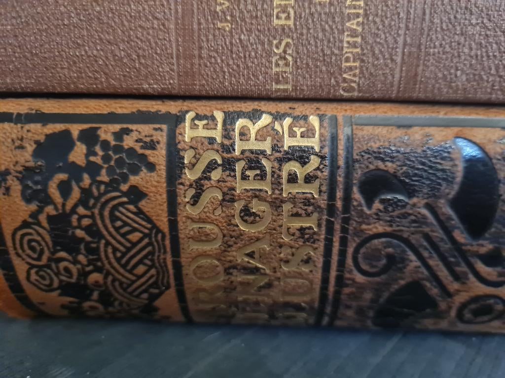 Antiek boek Larousse Menager Illustre, Ophalen of Verzenden, Larousse