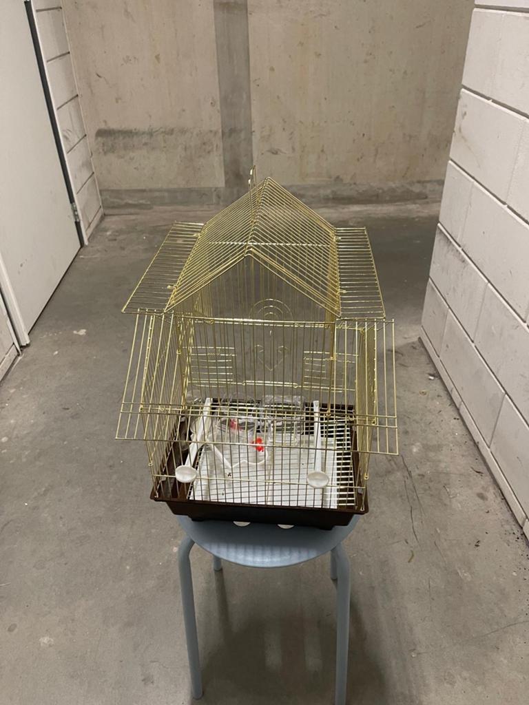 Vogel kooi, Ophalen, Zo goed als nieuw, Metaal, Vogelkooi