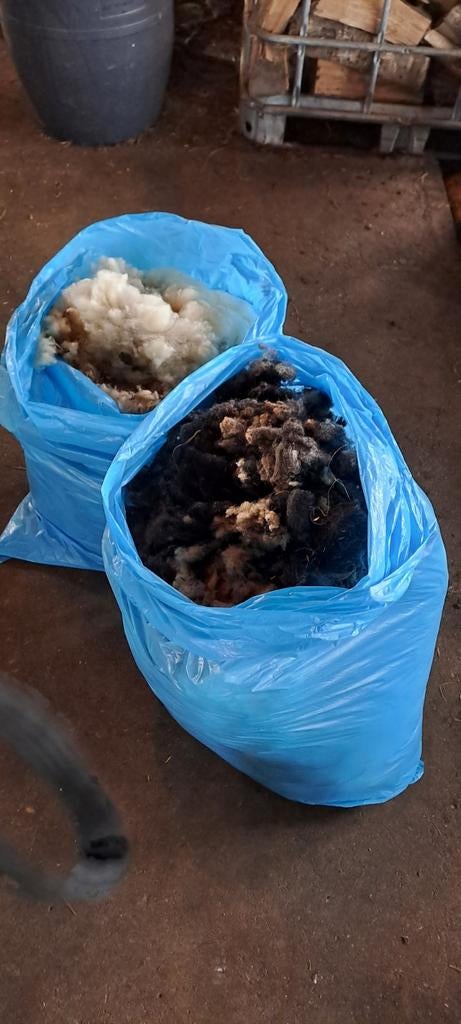 Natuurlijke schapenwol - Wit en zwart, Ophalen, Vee
