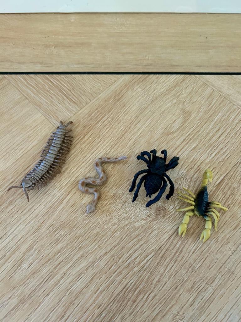 Z.g.a.n. 4 x reptielen speelfiguren van Collecta / Safari, Ophalen of Verzenden, Zo goed als nieuw