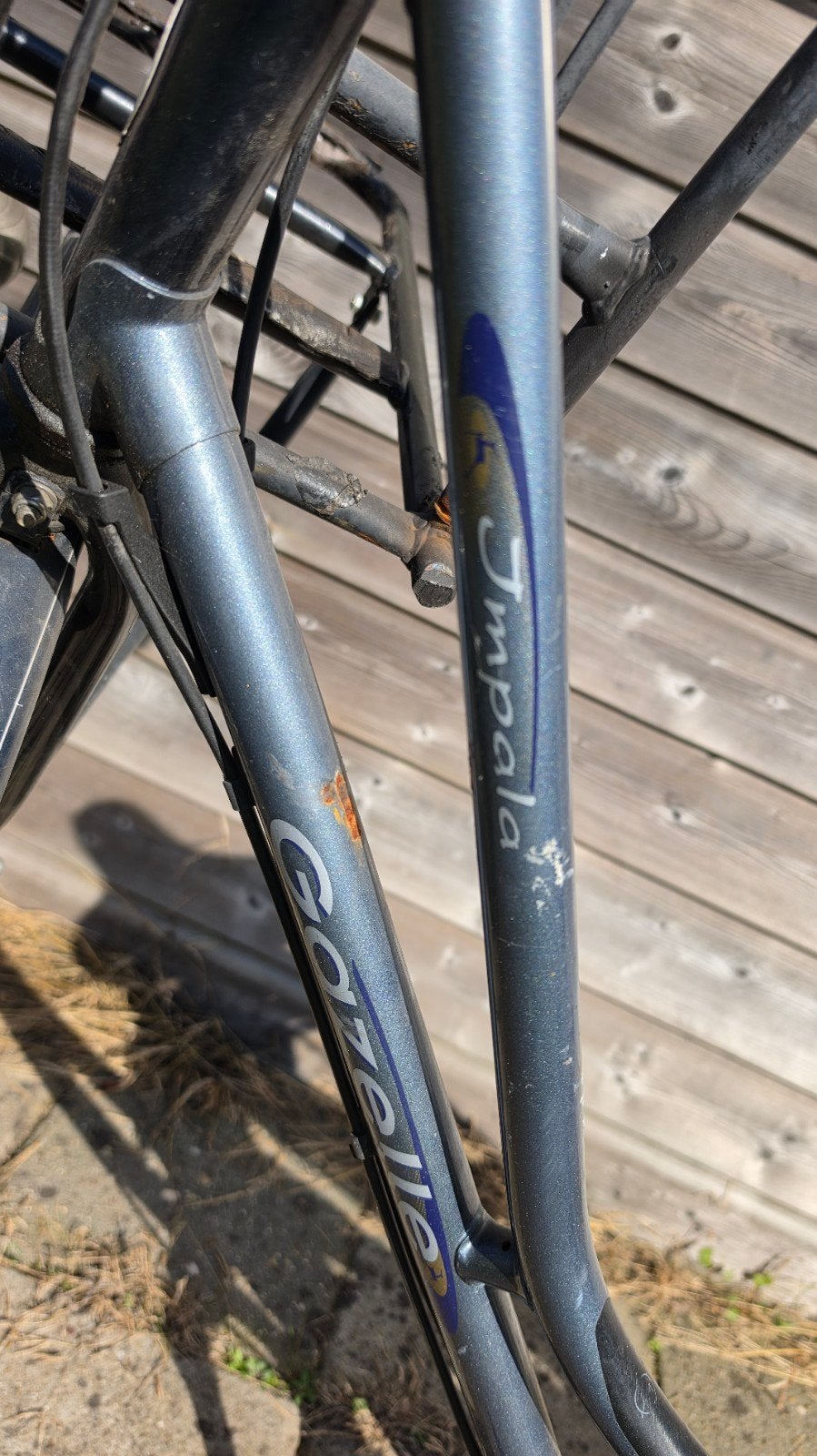 Gazelle Impala damesfiets, 54 cm, 28 inch wielen, 53 tot 56 cm, Ophalen of Verzenden, Gebruikt, Gazelle