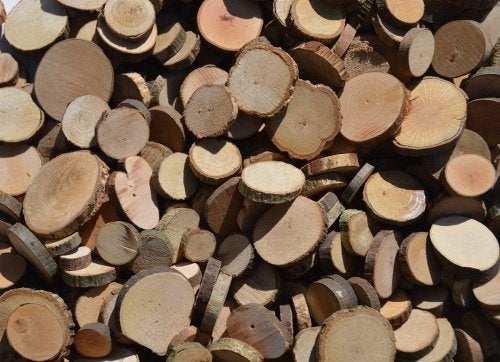Houten schijfjes. boomschijfjes diam ca 1,5 - 4 cm. rond, ....., Overige typen, ......, Nieuw