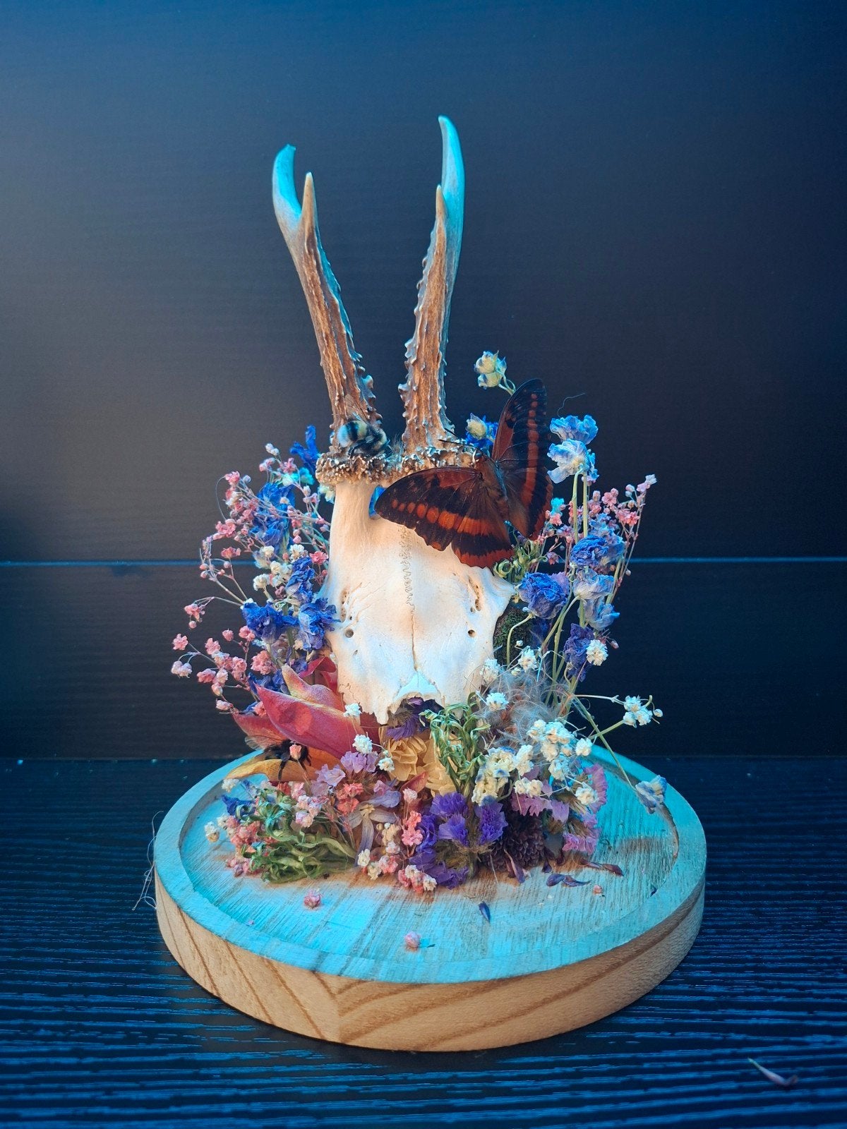 Taxidermie Decoratie, Verzamelen, Overige Verzamelen, Ophalen of Verzenden, Gebruikt