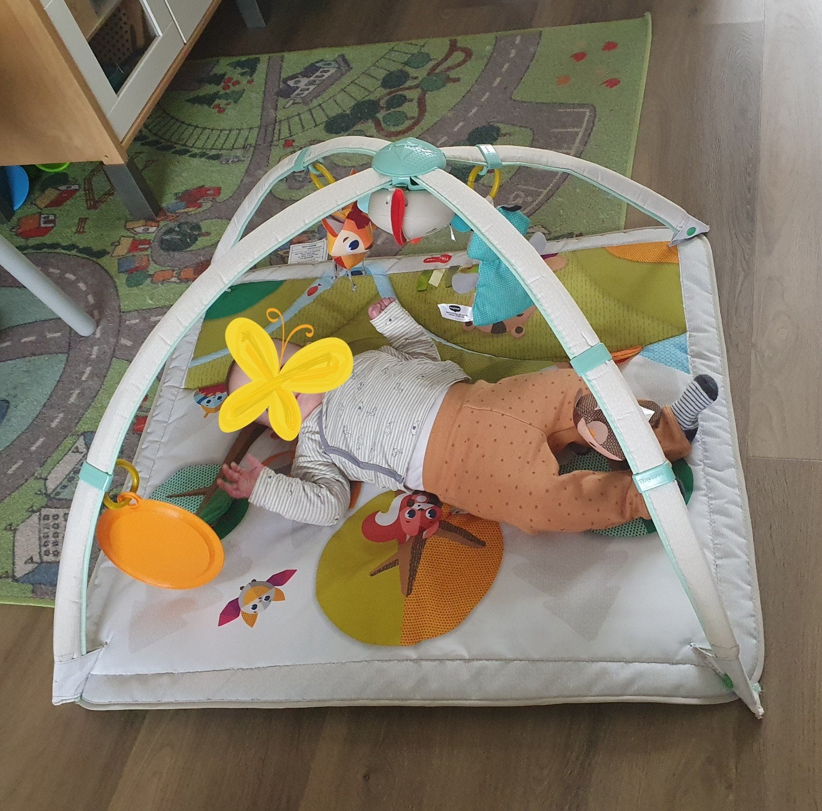 Tiny Love Babygym met speeltjes, Ophalen, Gebruikt, Babygym, Met licht