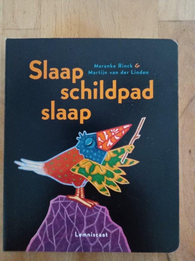 Slaap schildpad slaap, 3 tot 4 jaar, Ophalen of Verzenden, Zo goed als nieuw, Maranke Rinck & Martijn van der Linden