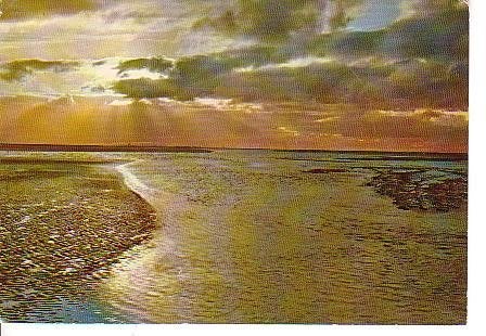 Ansichtkaart	Zee	& zonsondergang, Verzenden, 1960 tot 1980, Gelopen, Zuid-Holland