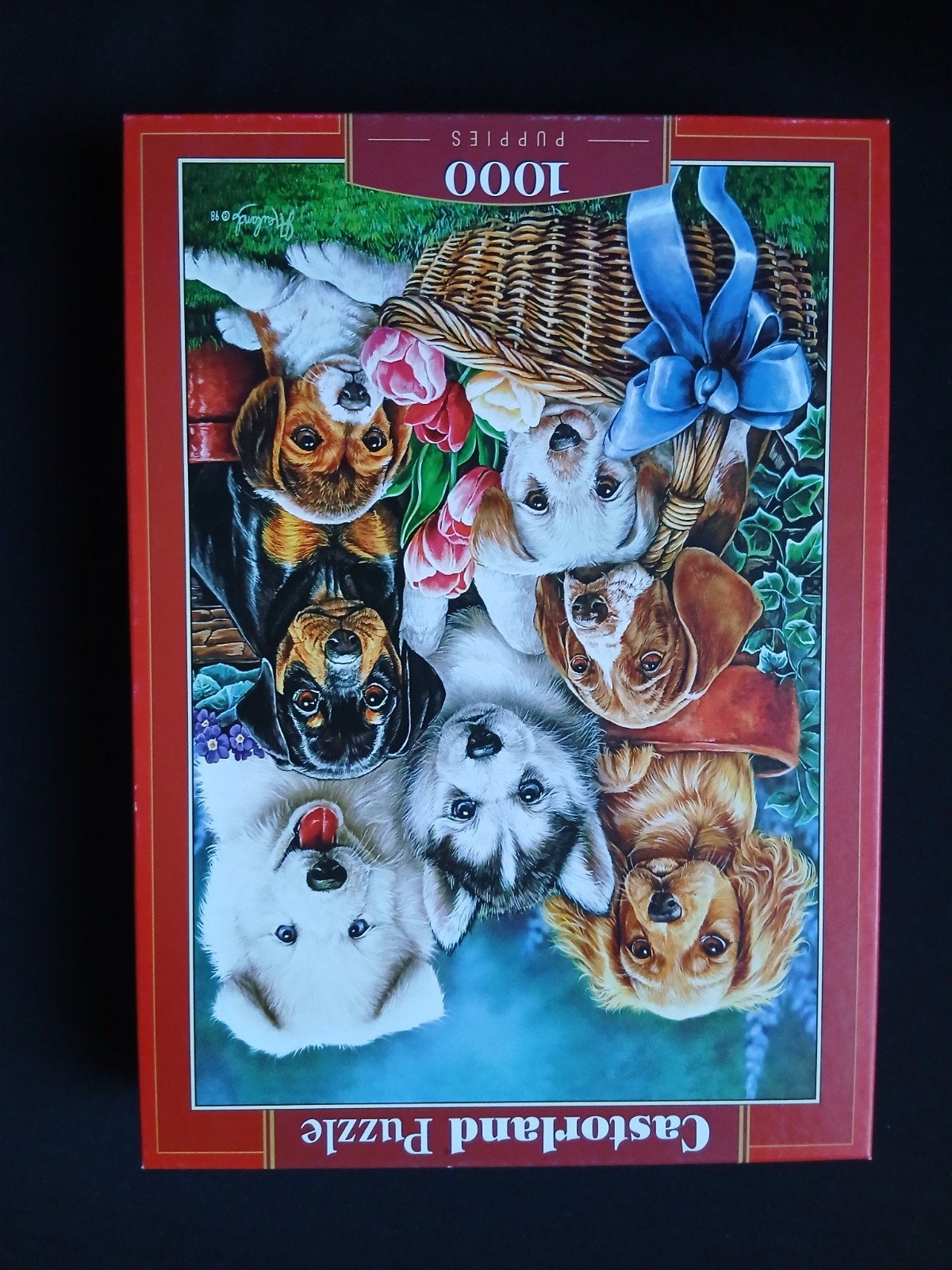 Castorland puzzel 1000 stukjes, honden, Ophalen of Verzenden, Zo goed als nieuw
