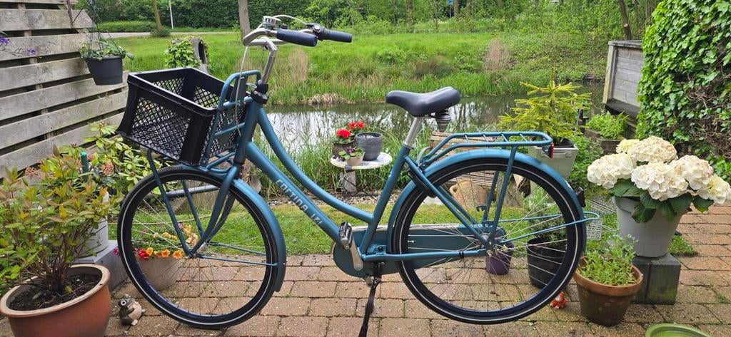 Cortina U4 Transportfiets - Framemaat 50 cm, 28 inch wielen, Fietsen en Brommers, Fietsen | Dames | Damesfietsen, Terugtraprem