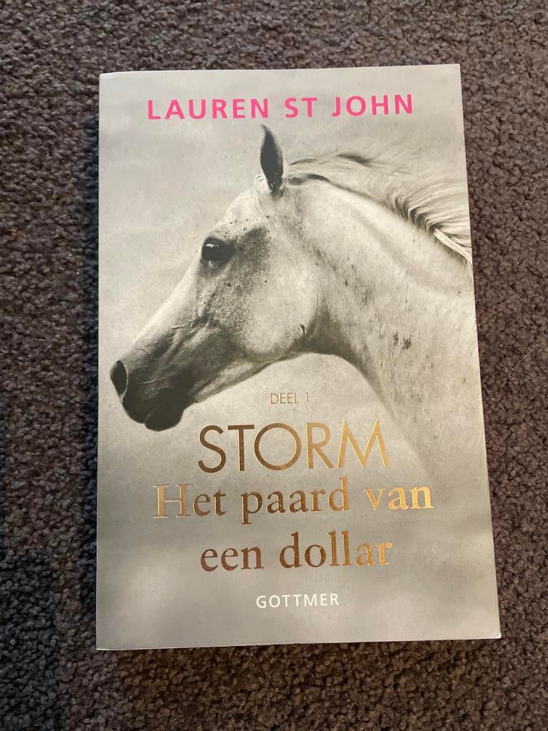 Storm: Het paard van een dollar - Lauren St John, Boeken, Ophalen of Verzenden, Zo goed als nieuw, Europa overig