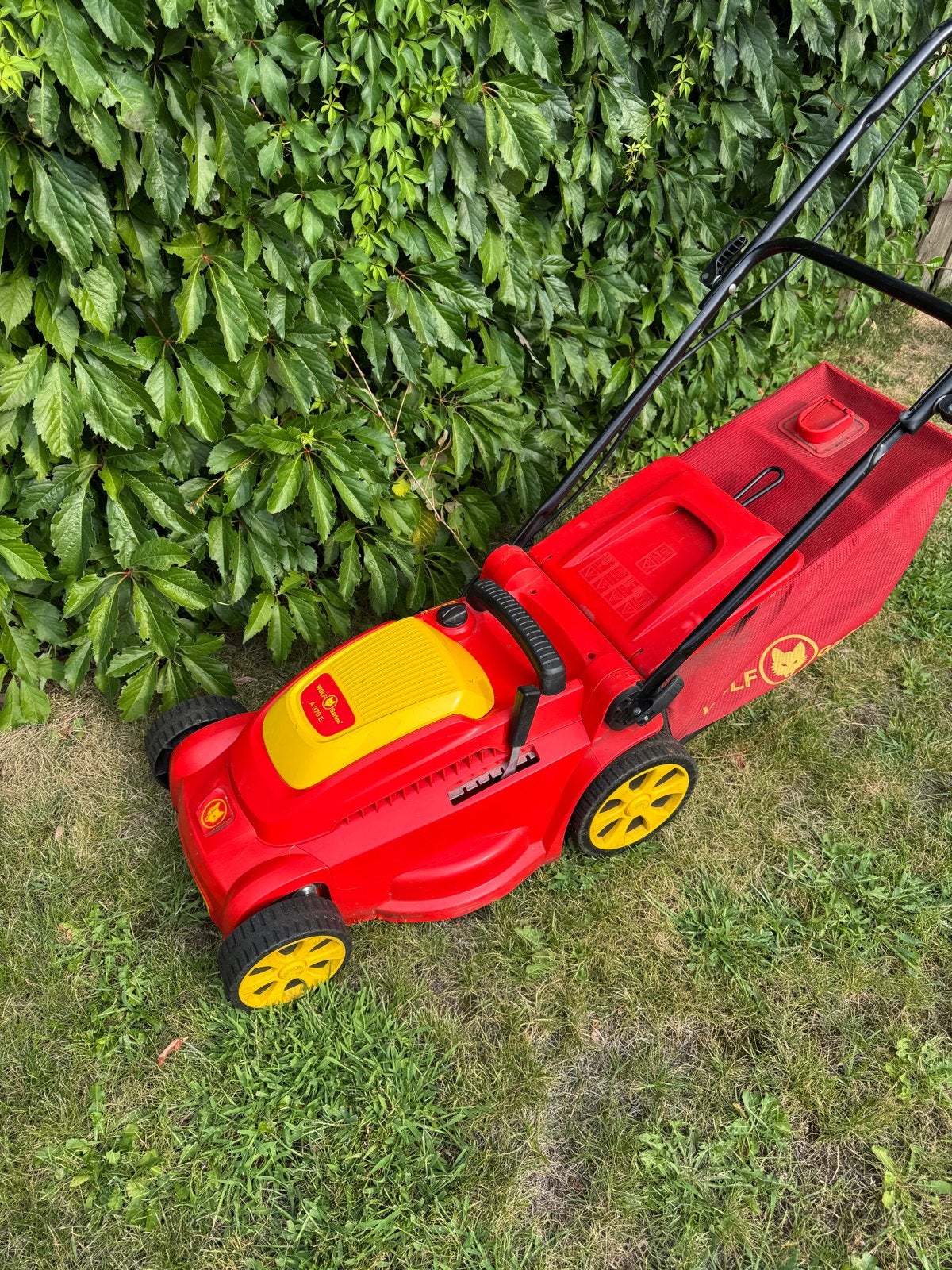 Wolf-Garten A 320 E Elektrische Grasmaaier, Ophalen, Cirkelmaaier, Gebruikt, Elektrische grasmaaier