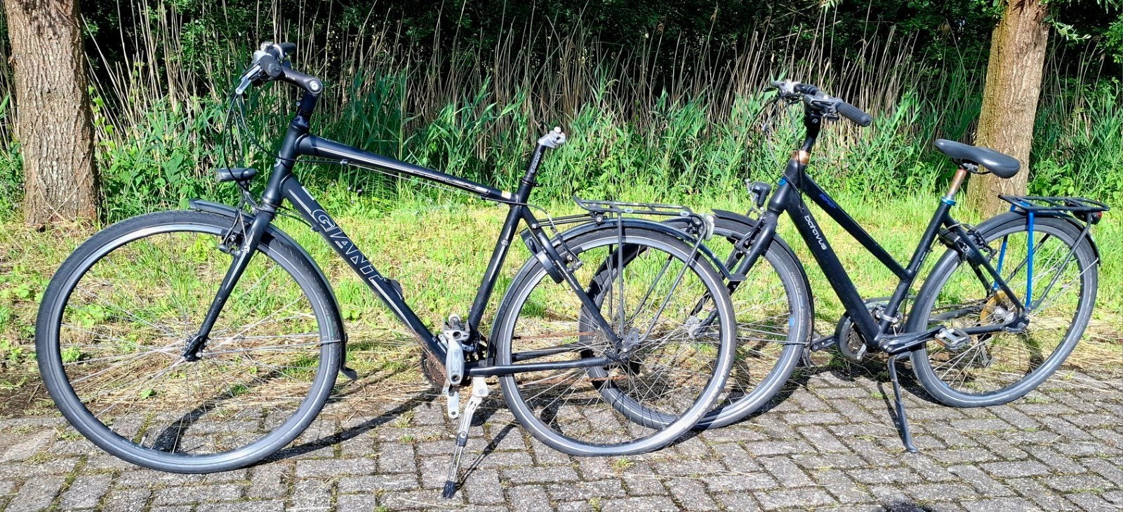 1x Batavus Zonar + 1x Giant Ligero, Fietsen en Brommers, Ophalen, Gebruikt, Batavus