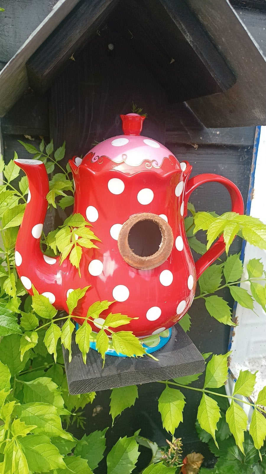 Oilily polkadot theepot/vogelhuis, Ophalen of Verzenden, Gebruikt