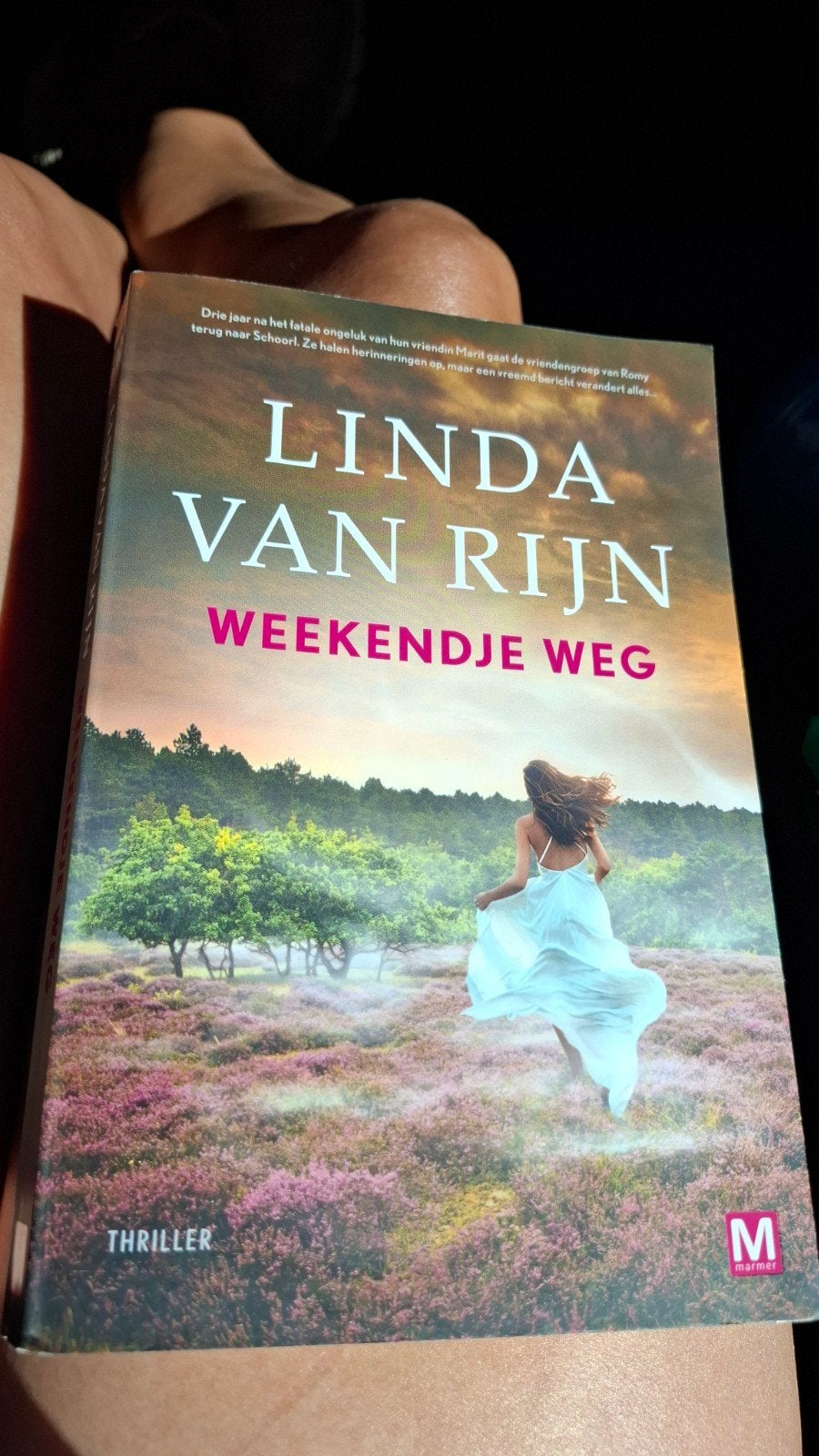 Weekendje Weg - Linda van Rijn (nieuwste boek), Boeken, Ophalen of Verzenden, Zo goed als nieuw, Linda van Rijn