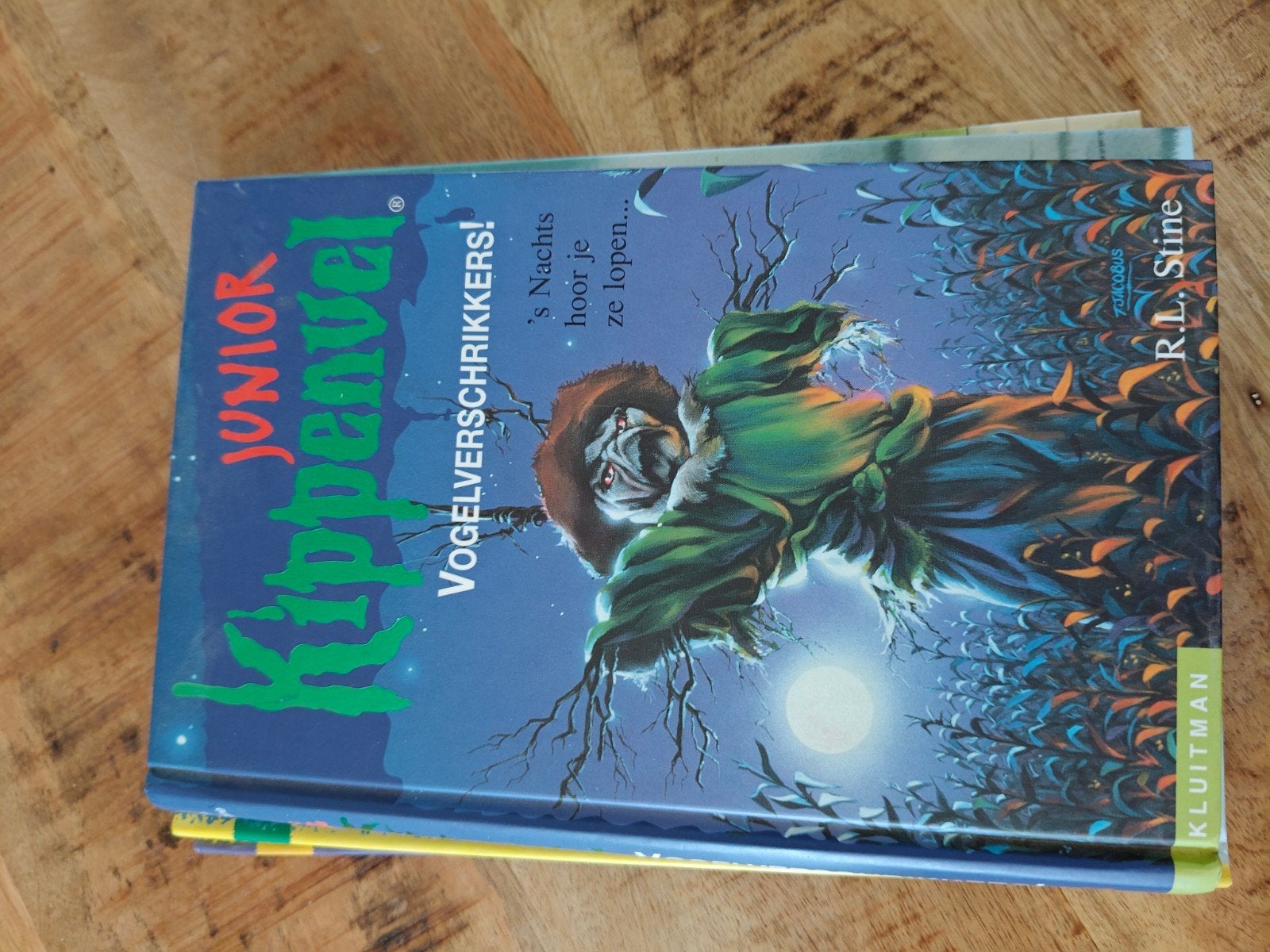 Kippenvel Junior: Vogelverschrikkers! - R.L. Stine, Boeken, Ophalen of Verzenden, Zo goed als nieuw, R.L. Stine, Fictie