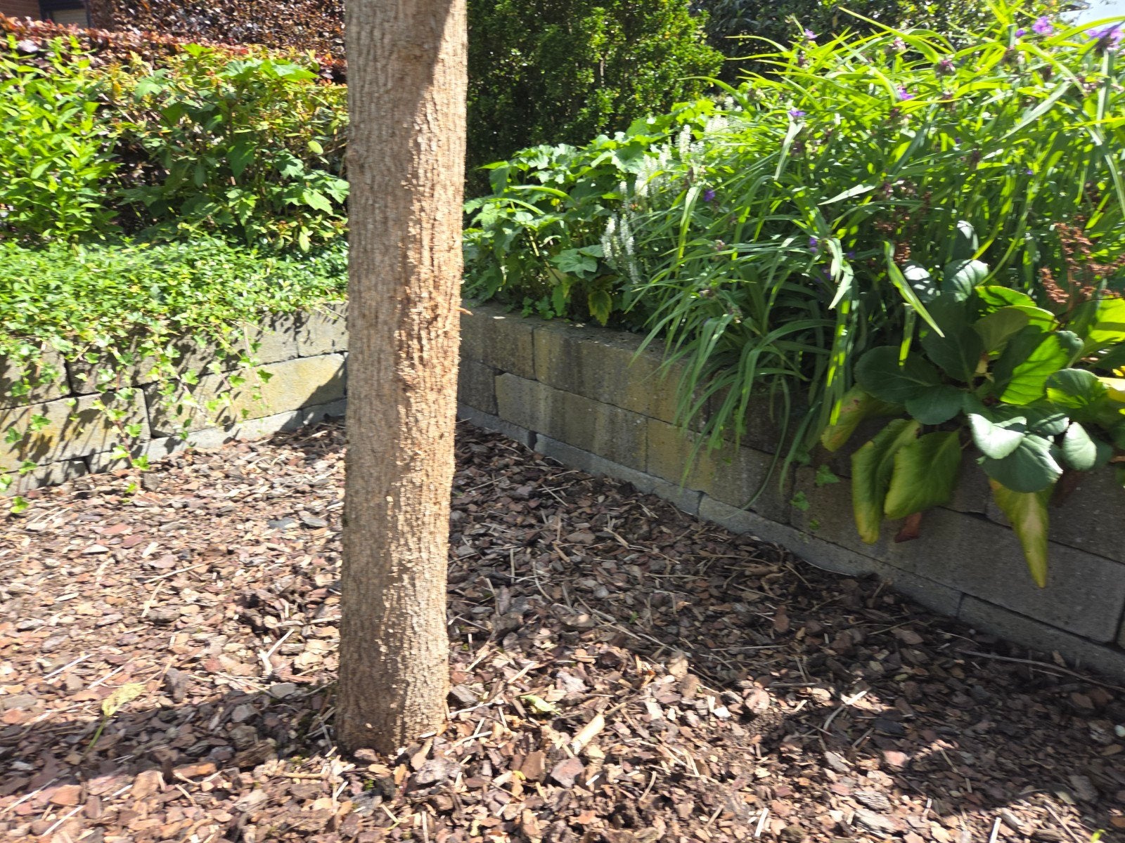 Betonnen borderranden voor tuin of plantenbak, Ophalen, Gebruikt, Minder dan 25 cm, Border