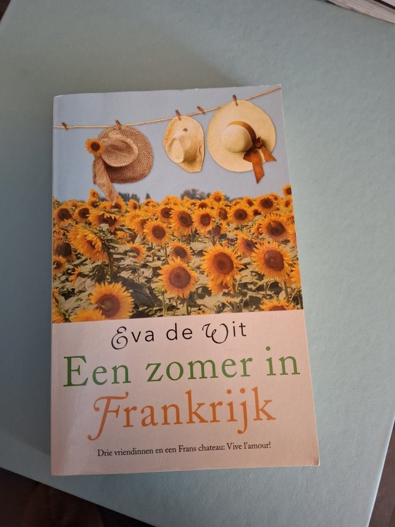 Een zomer in Frankrijk - Eva de Wit, Ophalen, Gelezen