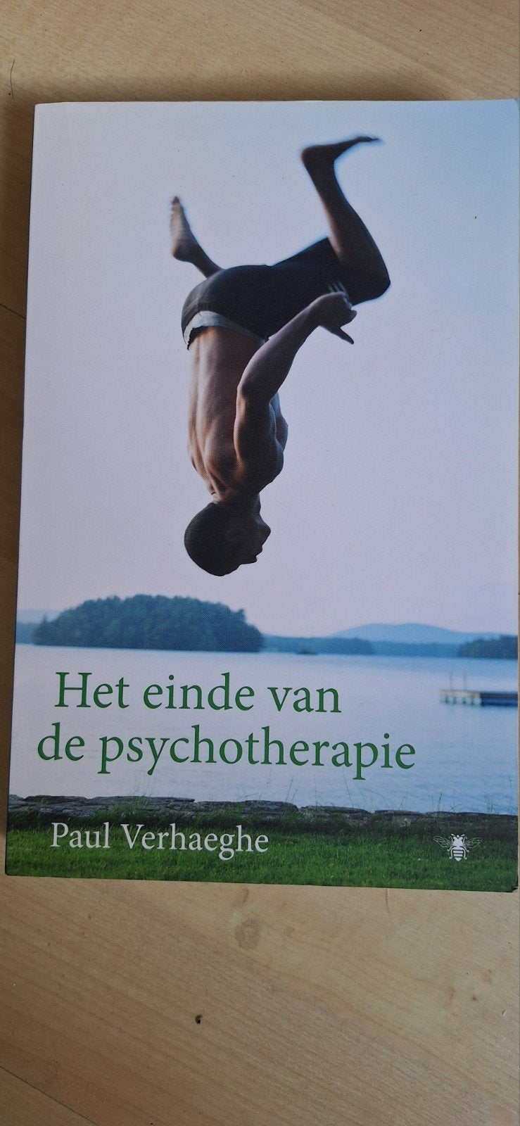 Het einde van de psychotherapie - Paul Verhaeghe, Boeken, Ophalen of Verzenden, Gelezen, Klinische psychologie, Paul Verhaeghe