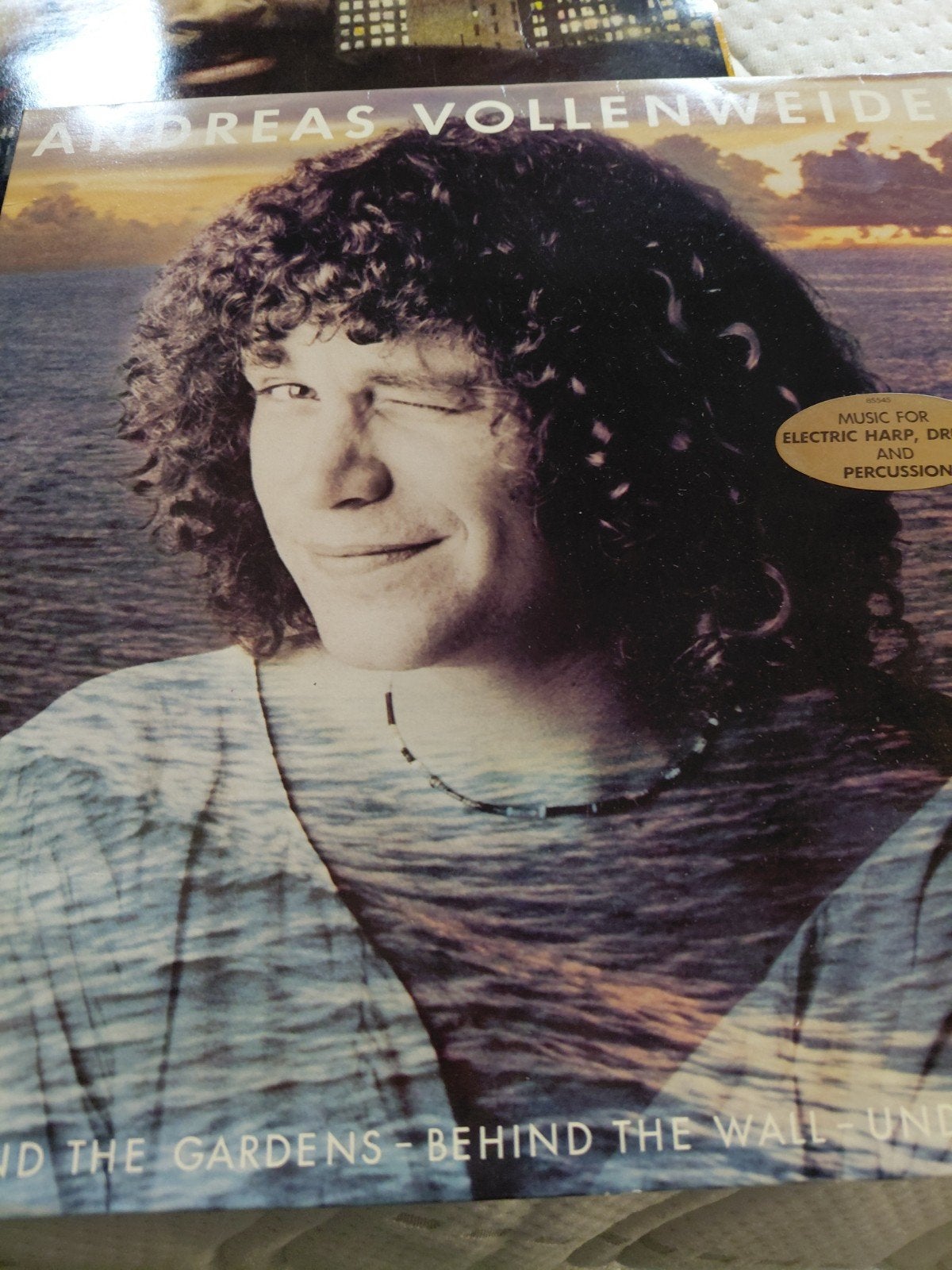 Andreas Vollenweider - ...Behind the Gardens - LP, LP, Gebruikt, Overige genres, Ophalen of Verzenden