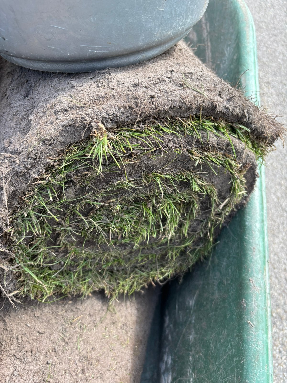 2m2.  Gras.  Gratis op te halen leidschendam, Ophalen of Verzenden, Zo goed als nieuw, Minder dan 10 m²