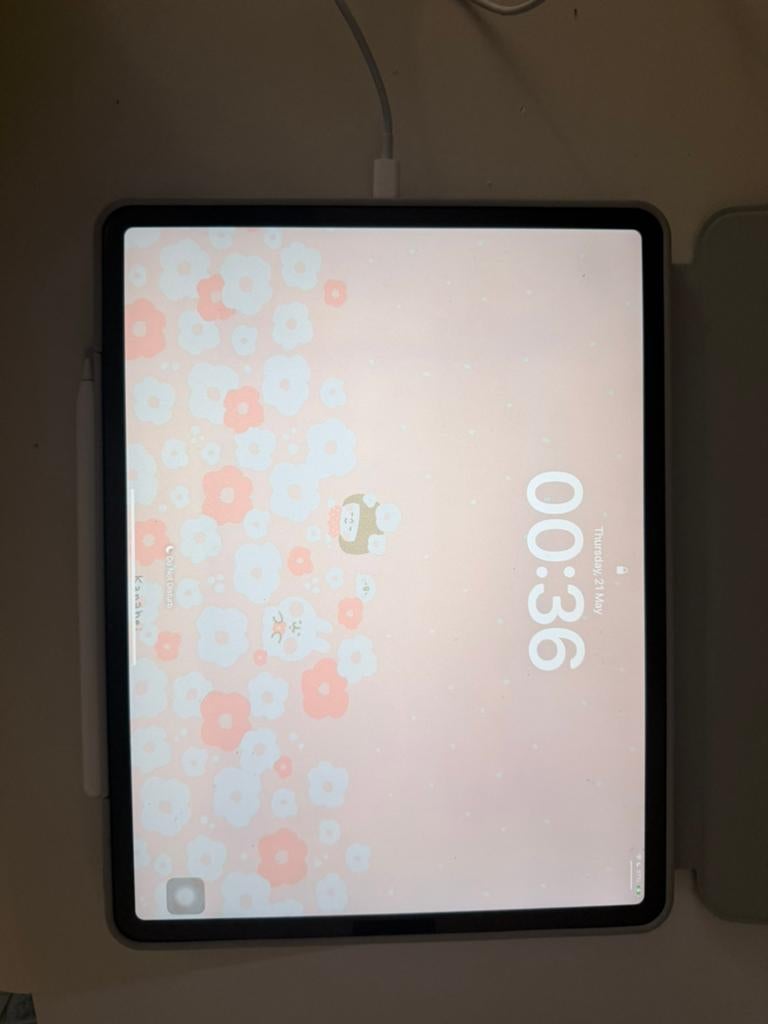 Ipad Pro 12.9 inch 512GB (4th generation), Computers en Software, Apple iPads, Apple iPad, 12 inch, Ophalen of Verzenden, Zo goed als nieuw