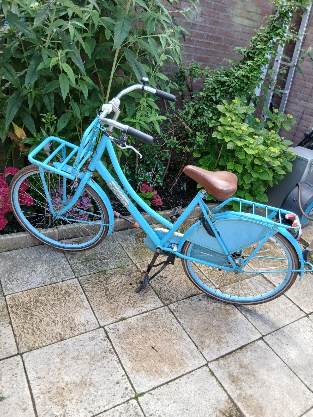 Popal 26 inch meisjesfiets met gelzadel en bagagerek, 26 inch of meer, Terugtraprem, Gebruikt, Ophalen of Verzenden