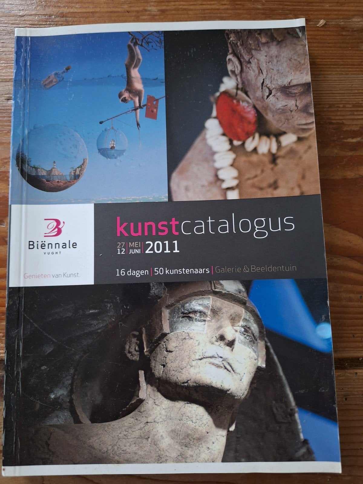Kunstcatalogus Biënnale Vught 2011, Boeken, Ophalen of Verzenden, Zo goed als nieuw, Diverse kunstenaars, Catalogus