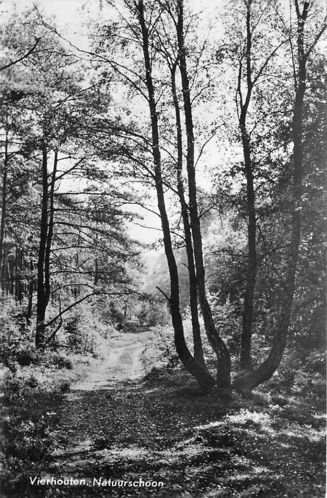 381-145-011 Vierhouten Natuurschoon, Verzenden, Voor 1920, Gelderland