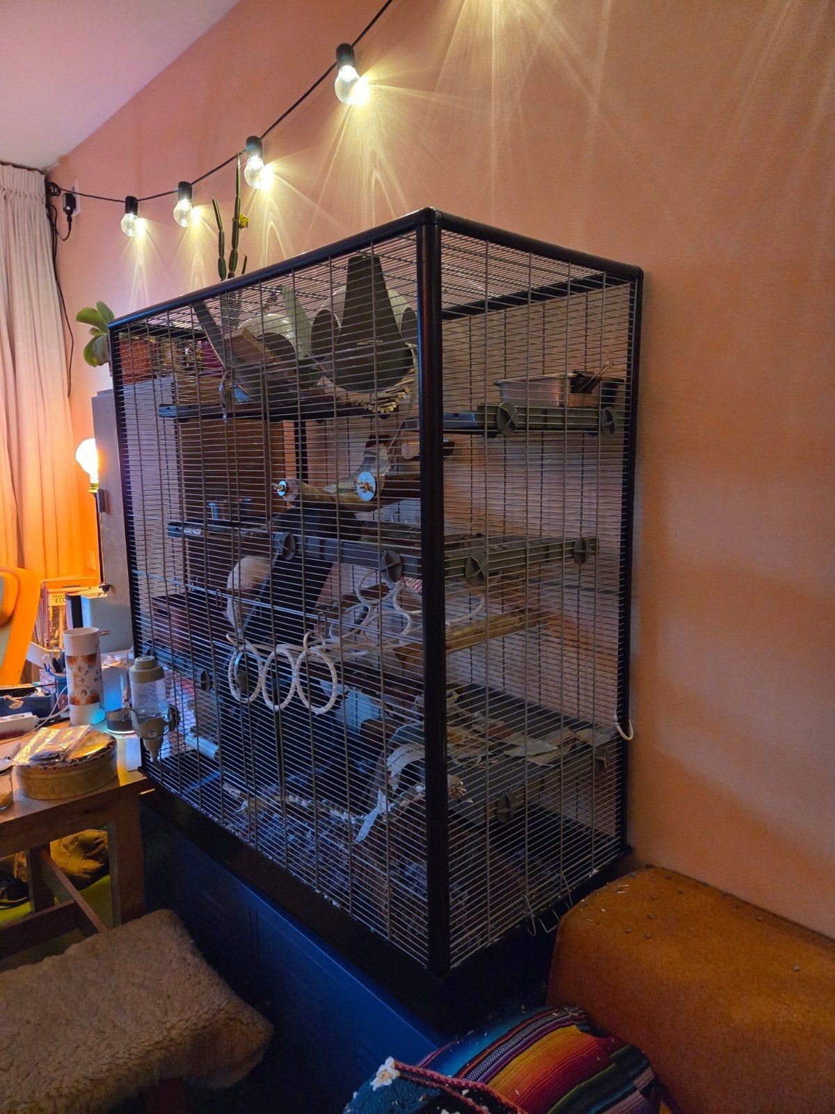 savic zeno 3 knaagdierenkooi rattenkooi, Dieren en Toebehoren, Ophalen, Kooi, Gebruikt, 90 cm of meer