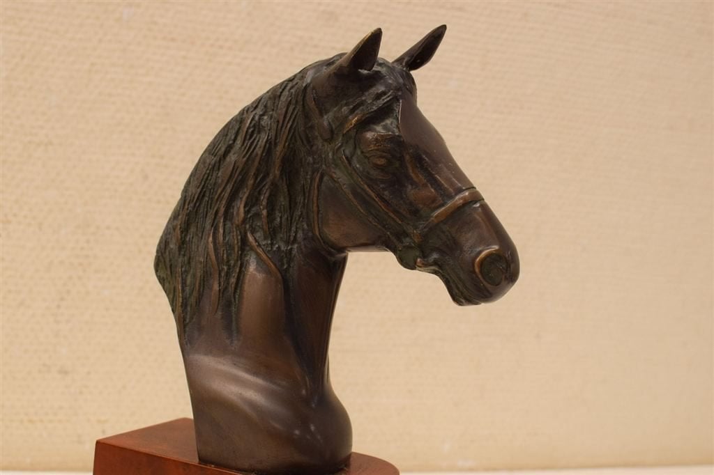 Bronzen Paardenhoofd 46024, Ophalen of Verzenden