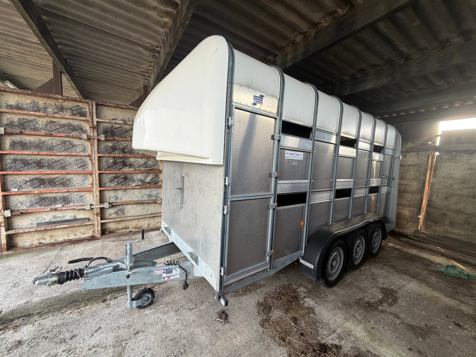 Ifor Williams dubbeldeks veetrailer, Mannelijk, Schaap