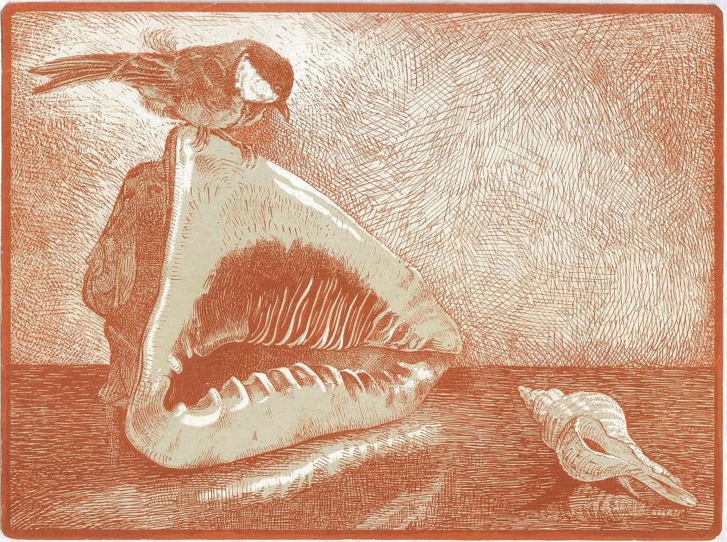 F. A. Timp litho "Stilleven met Mus en 2 Schelpen", ca. 1927, Ophalen