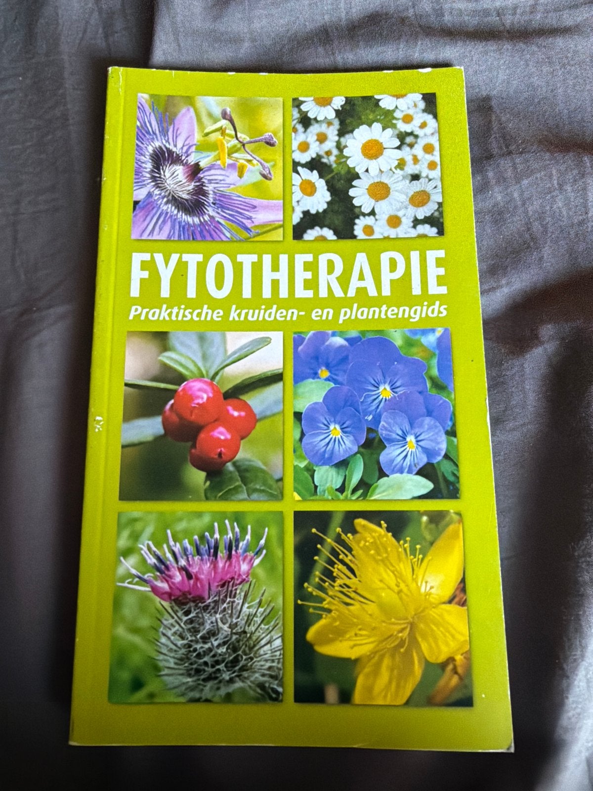 S10.  Fytotherapie: Praktische kruiden- en plantengids, Boeken, Ophalen of Verzenden, Zo goed als nieuw, Kruiden en Alternatief
