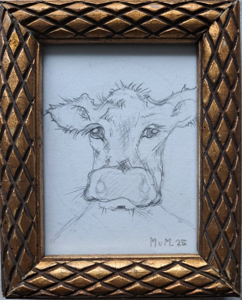 tekening Koe 12x10cm, Ophalen of Verzenden