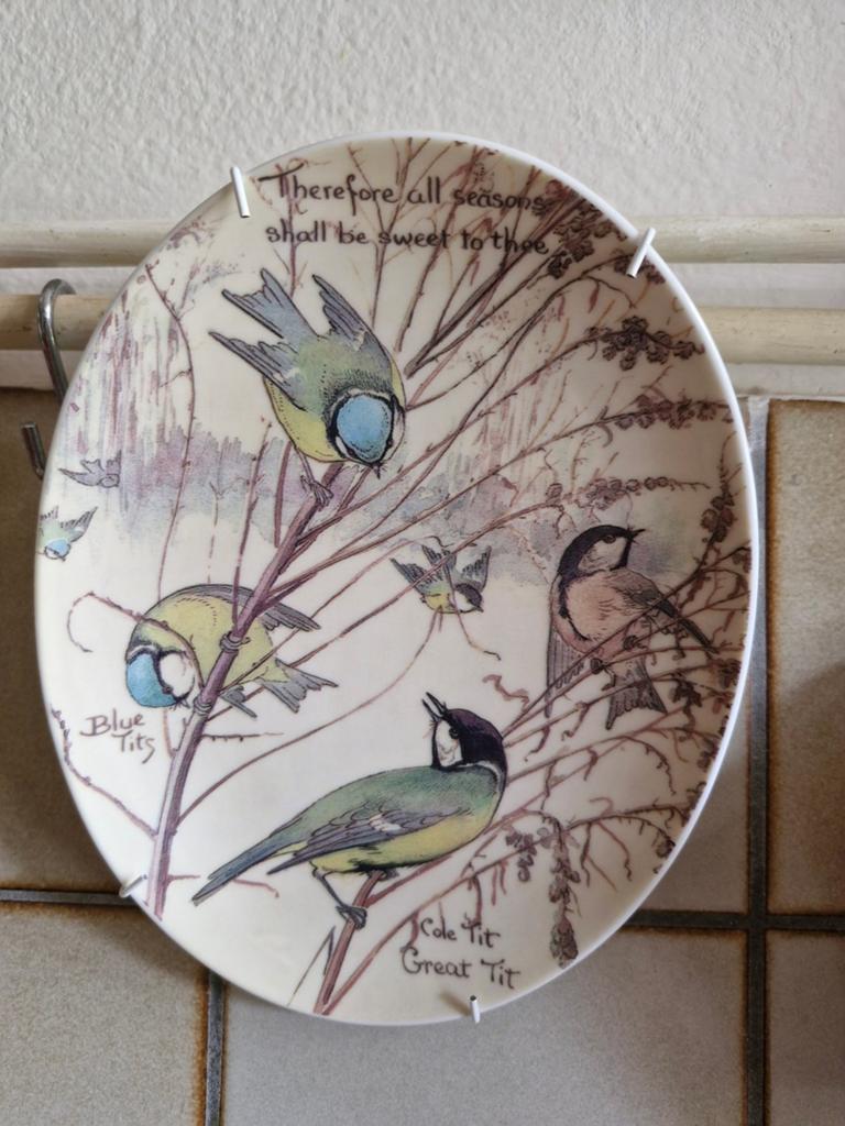 Mooi vogel bordje, Antiek en Kunst, Ophalen of Verzenden